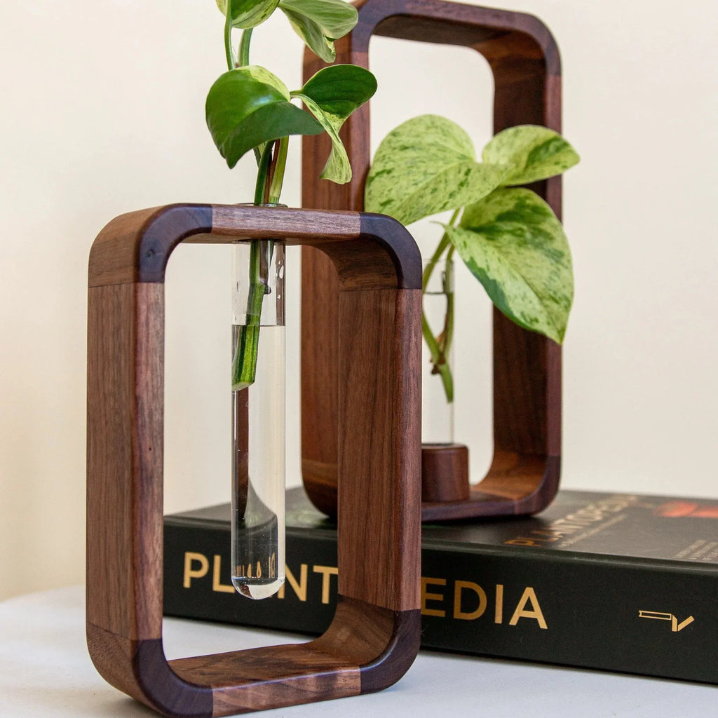 Vase en Verre avec Support en Bois pour Boutures