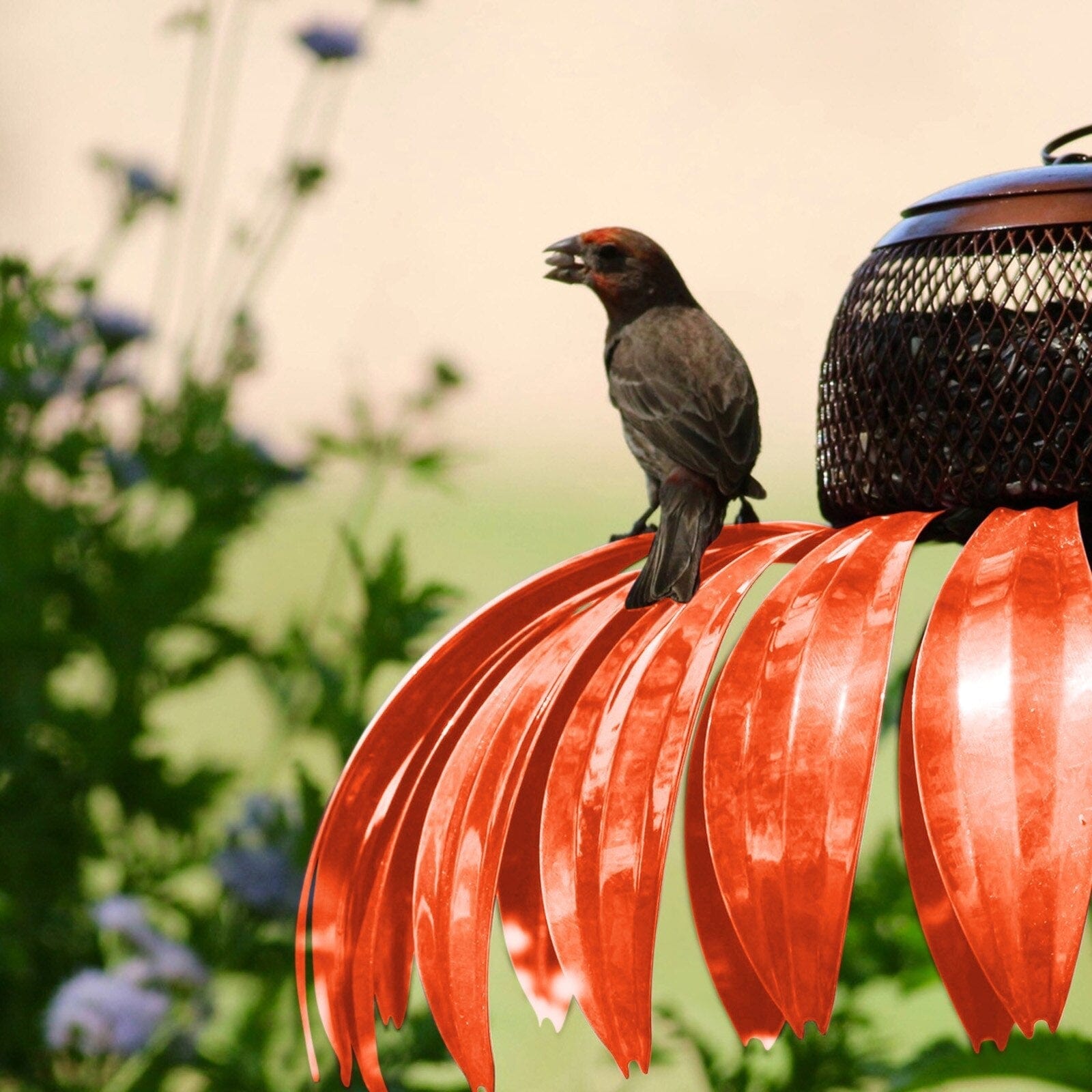 Maison à oiseaux résistante aux intempéries pour jardin et balcon