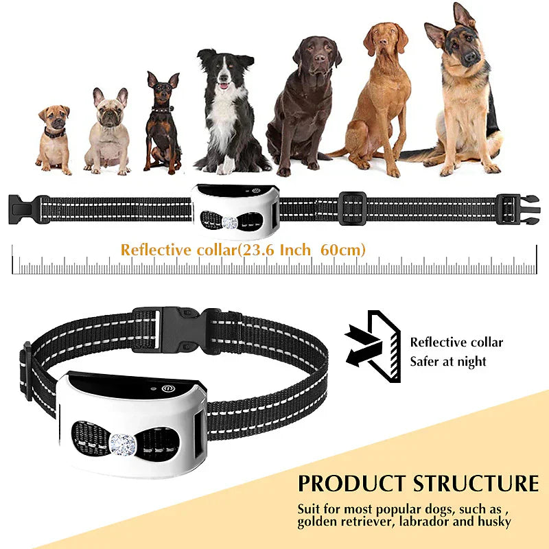 PawPal Collier de Chien Sans Fil - Liberté et Sécurité pour Votre Chien