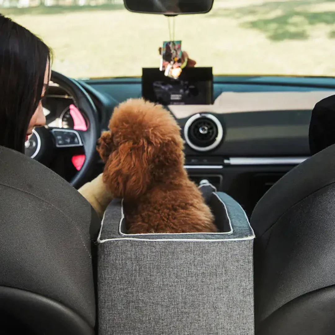 PAWPAL - Siège Auto Élevé pour Chien pour Chiens de Petite Taille jusqu'à 11kg, Siège de Voyage Confortable