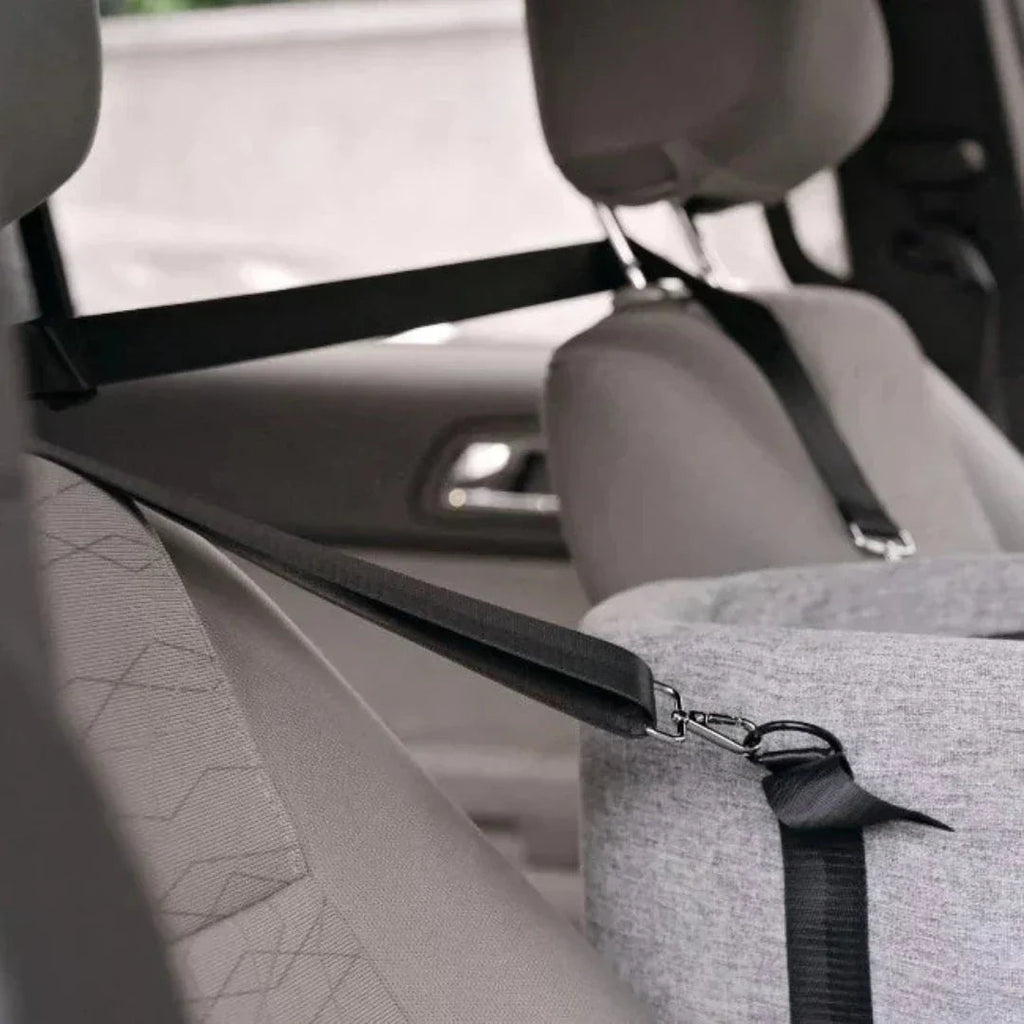 PAWPAL - Siège Auto Élevé pour Chien pour Chiens de Petite Taille jusqu'à 11kg, Siège de Voyage Confortable