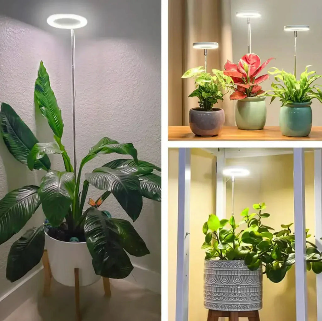 Lampe de Plante | Lumière de Croissance à Spectre Complet | Minuteur et Fonction Dimmable | PlantGlow