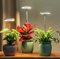 Lampe de Plante | Lumière de Croissance à Spectre Complet | Minuteur et Fonction Dimmable | PlantGlow
