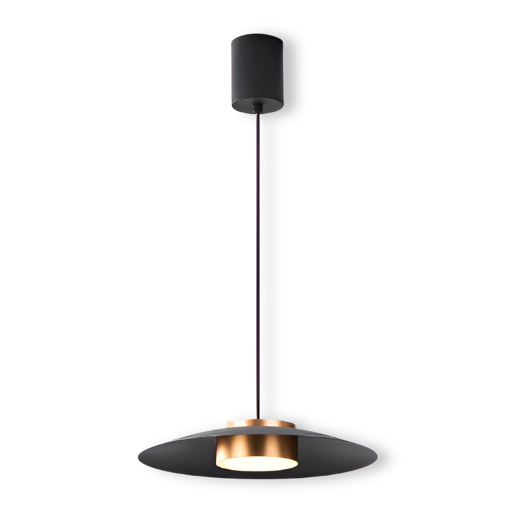 Lampe suspendue industrielle avec variateur – lampe LED noire au design nordique