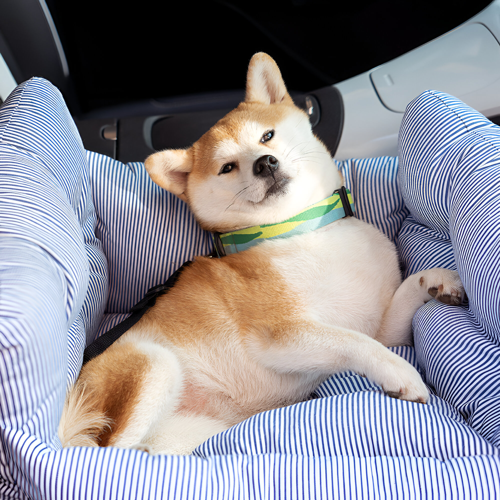 Siège pour Chien Portable pour Voiture - Siège Auto pour Chiens - Lit de Voyage Premium pour Animaux