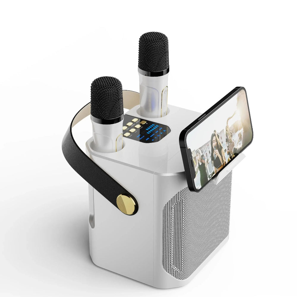 Système de haut-parleurs karaoke portable avec son 360° et deux microphones sans fil – idéal pour les fêtes en intérieur et en extérieur