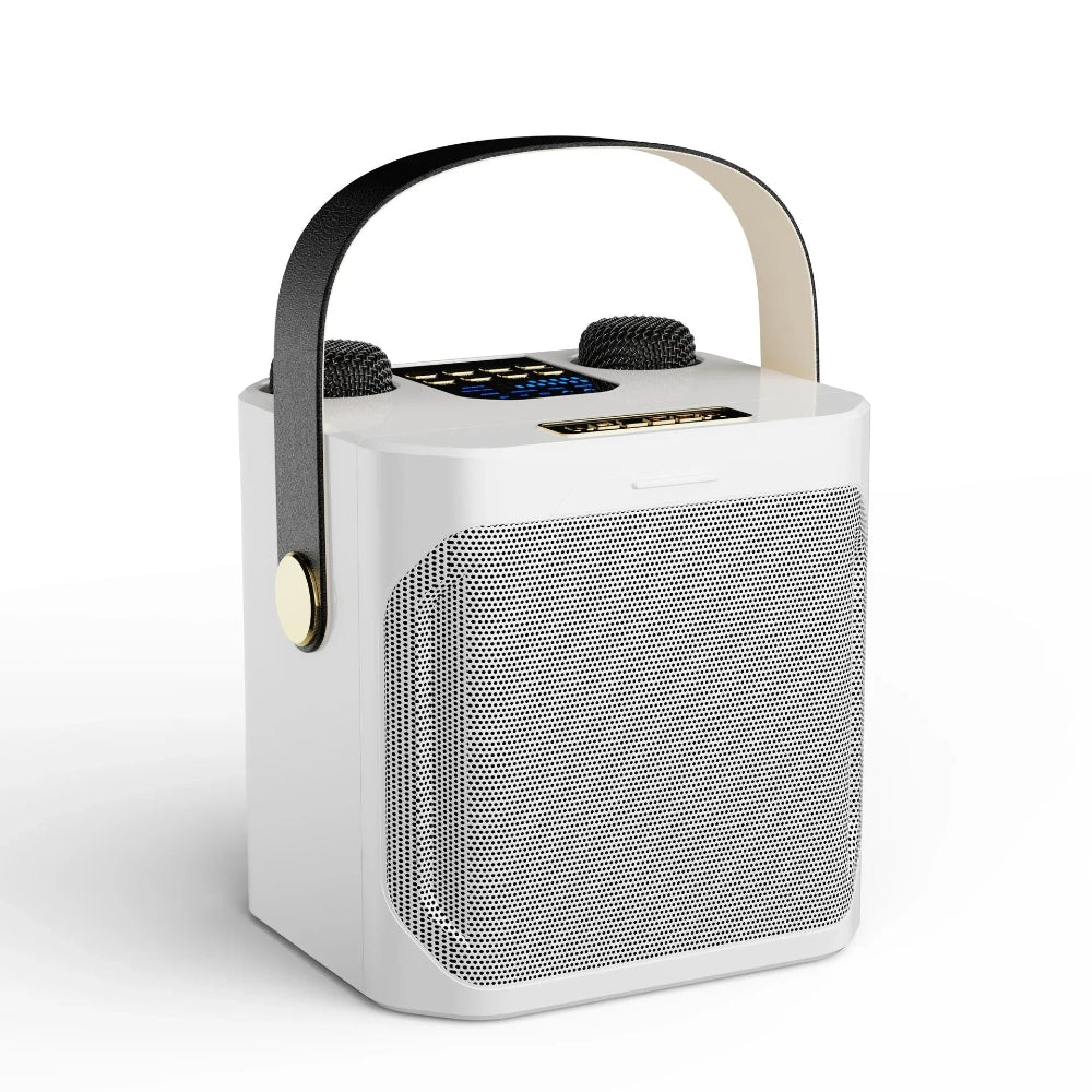 Système de haut-parleurs karaoke portable avec son 360° et deux microphones sans fil – idéal pour les fêtes en intérieur et en extérieur
