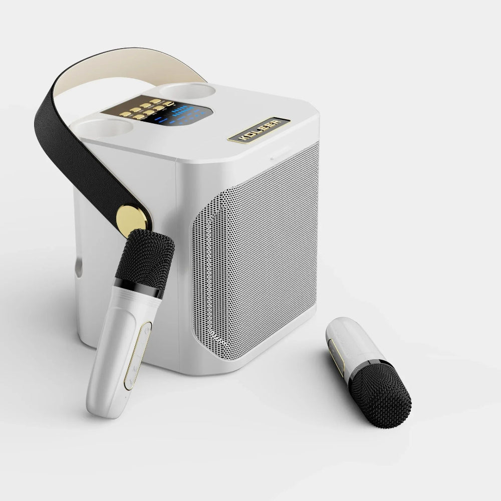 Système de haut-parleurs karaoke portable avec son 360° et deux microphones sans fil – idéal pour les fêtes en intérieur et en extérieur