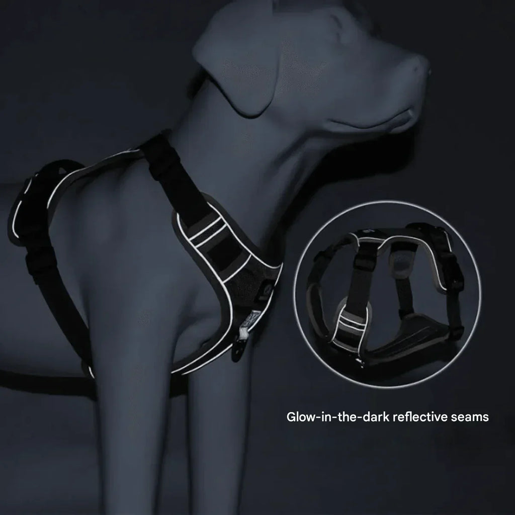 Harnais Anti-Trek Kutya Hám Confort avec Doublure – PullFree