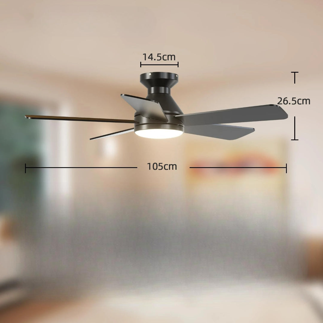 Ventilateur de plafond avec lumière