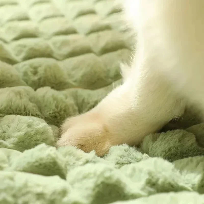 PAWSOMNIA Lit Orthopédique pour Chien | Housse Amovible & Lavable | Mousse à Mémoire | Pour Chiens & Chats