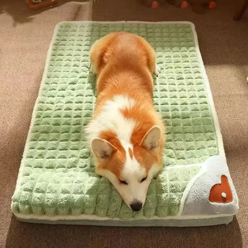 PAWSOMNIA Lit Orthopédique pour Chien | Housse Amovible & Lavable | Mousse à Mémoire | Pour Chiens & Chats