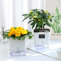 Pot Autonome Avec Niveau d'Eau Visible Blanc