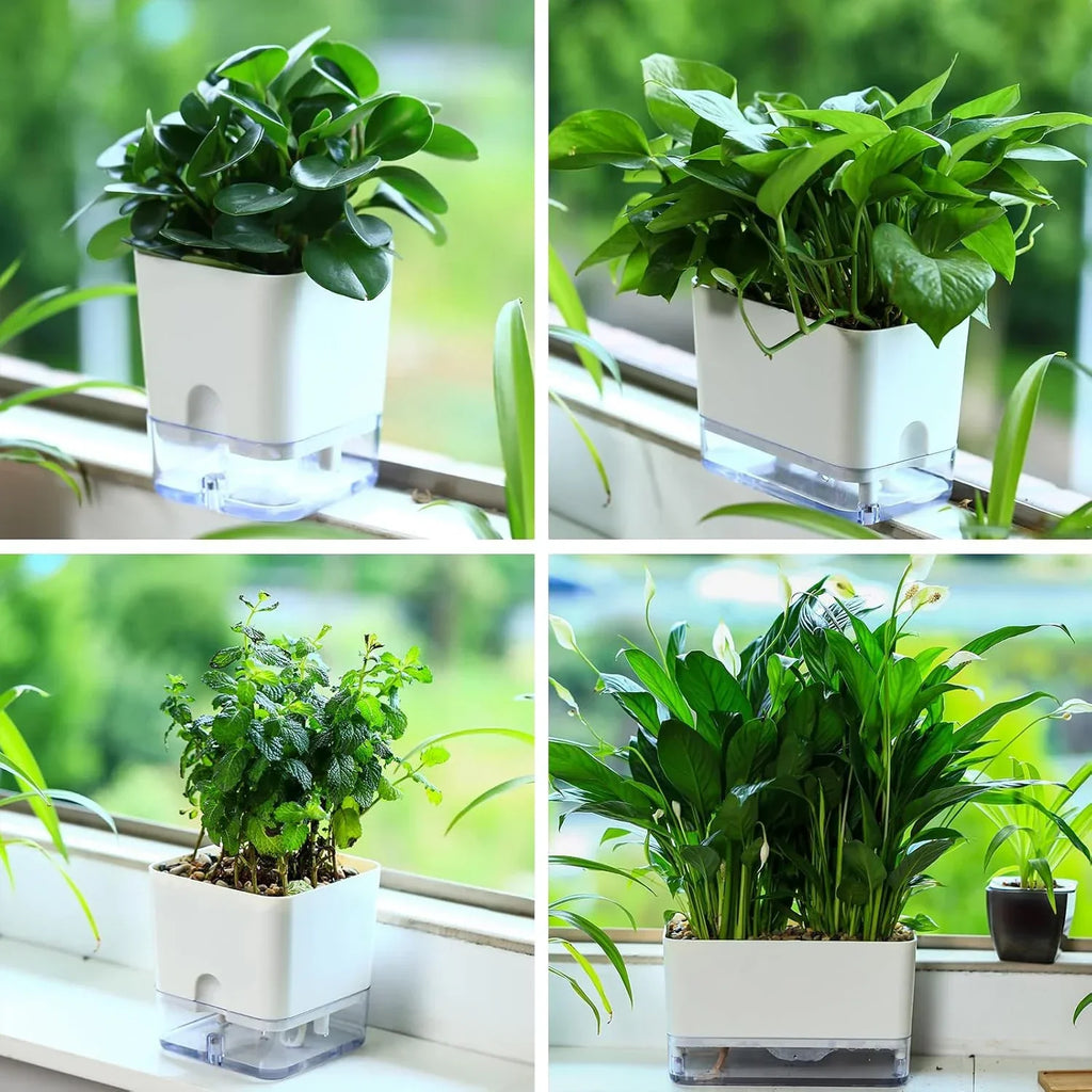 Pot Autonome Avec Niveau d'Eau Visible Blanc