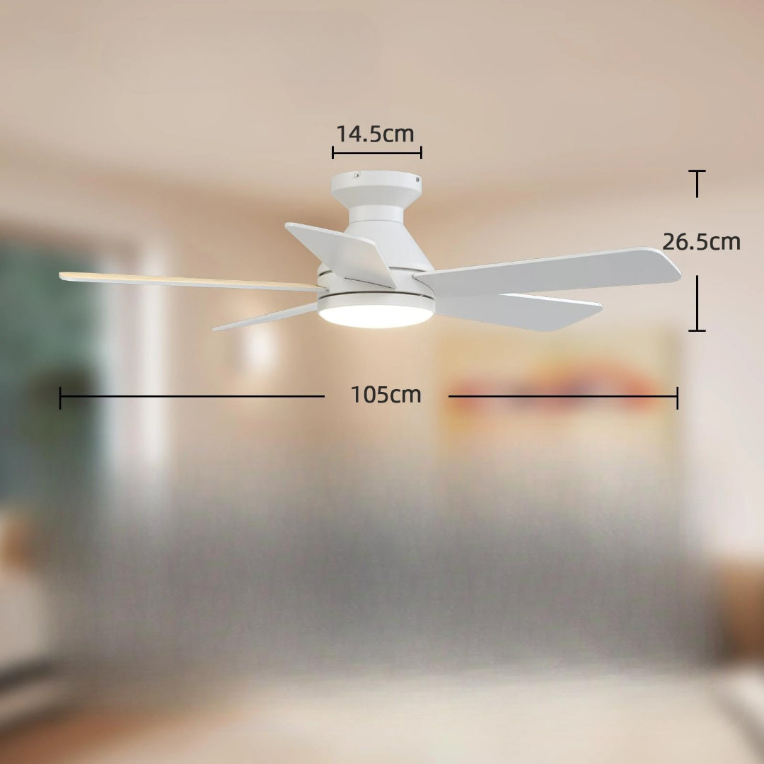 Ventilateur de plafond avec lumière