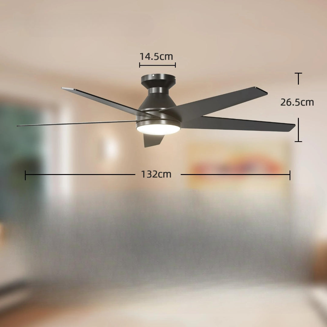 Ventilateur de plafond avec lumière