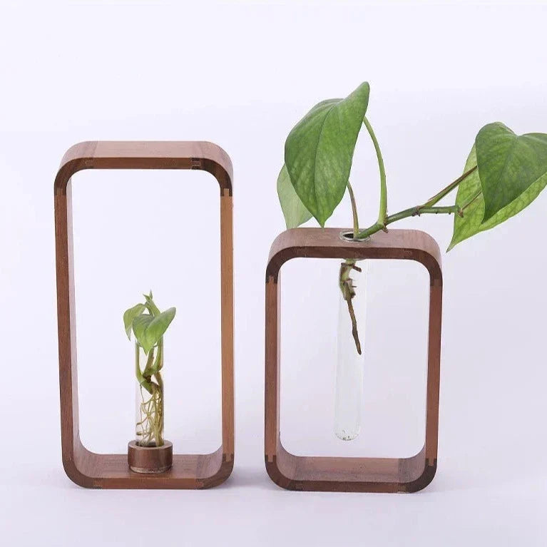 Vase en Verre avec Support en Bois pour Boutures