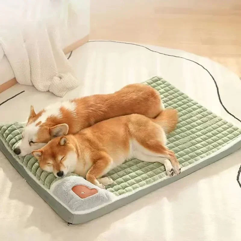 PAWSOMNIA Lit Orthopédique pour Chien | Housse Amovible & Lavable | Mousse à Mémoire | Pour Chiens & Chats