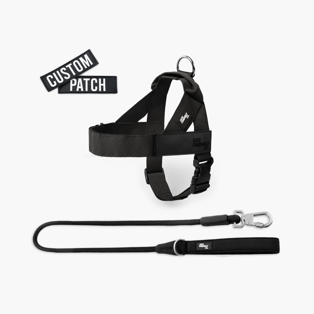 Kit de Signature – Noir