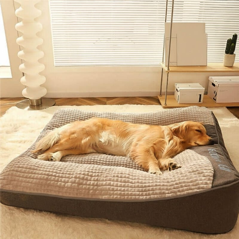 Skanto | Grand lit pour chien résistant aux rayures avec soutien orthopédique