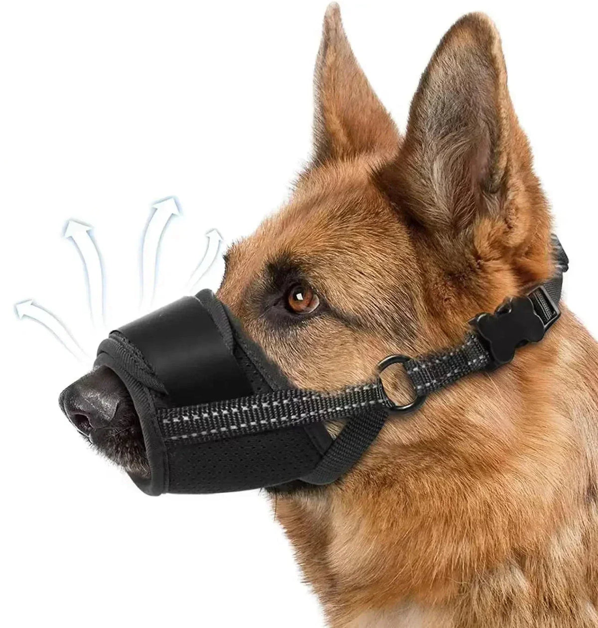 Muselière respirante pour chien