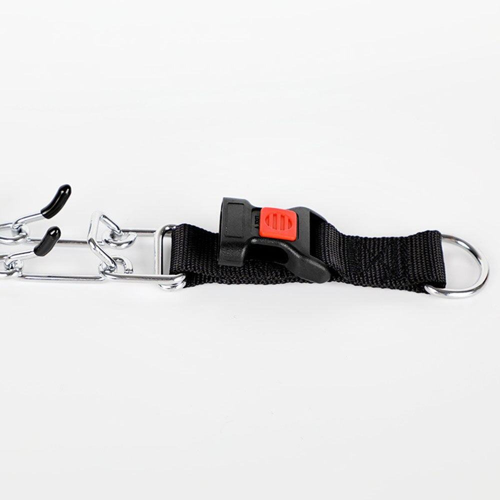 Collier à pinces pour chien - Style C