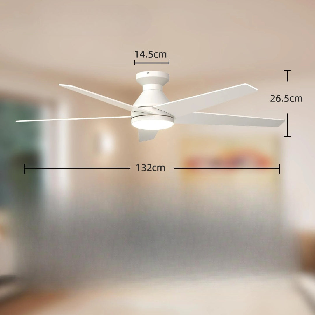 Ventilateur de plafond avec lumière