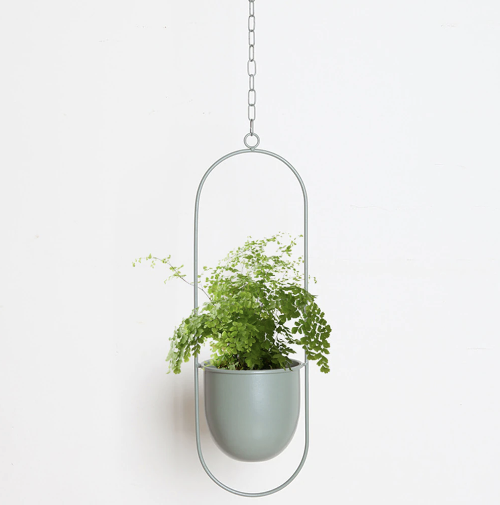 Suspension de plantes au design minimaliste et élégant !