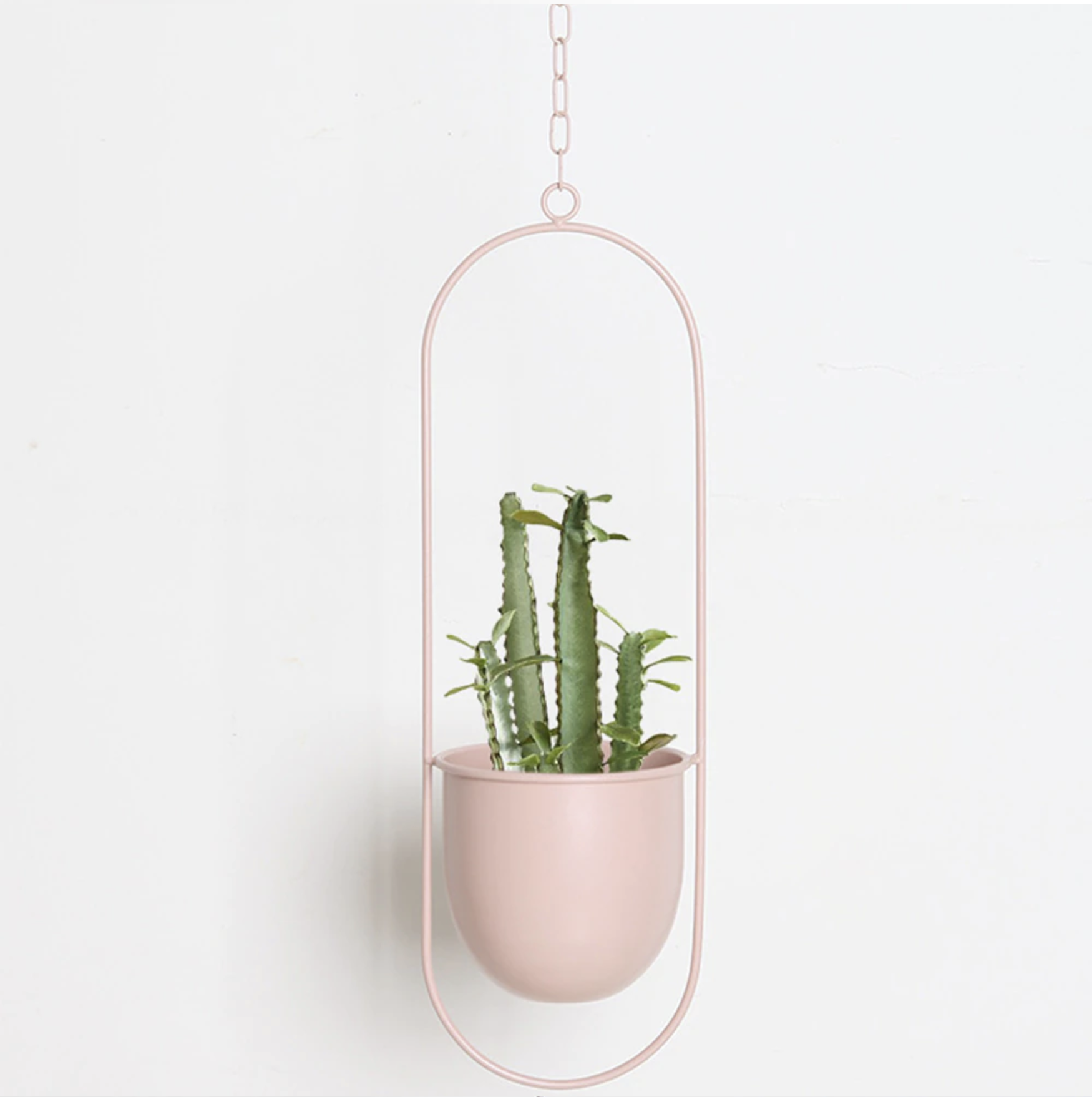 Suspension de plantes au design minimaliste et élégant !