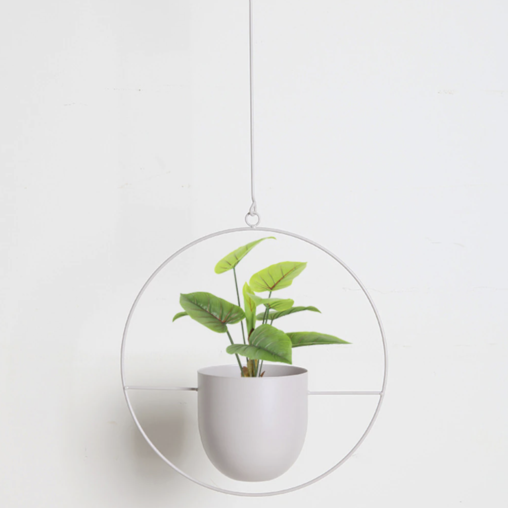 Suspension de plantes au design minimaliste et élégant !