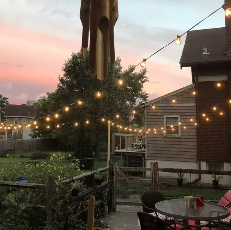 Guirlandes Solaire Extérieures - Lumières LED Globe pour Décoration de Jardin