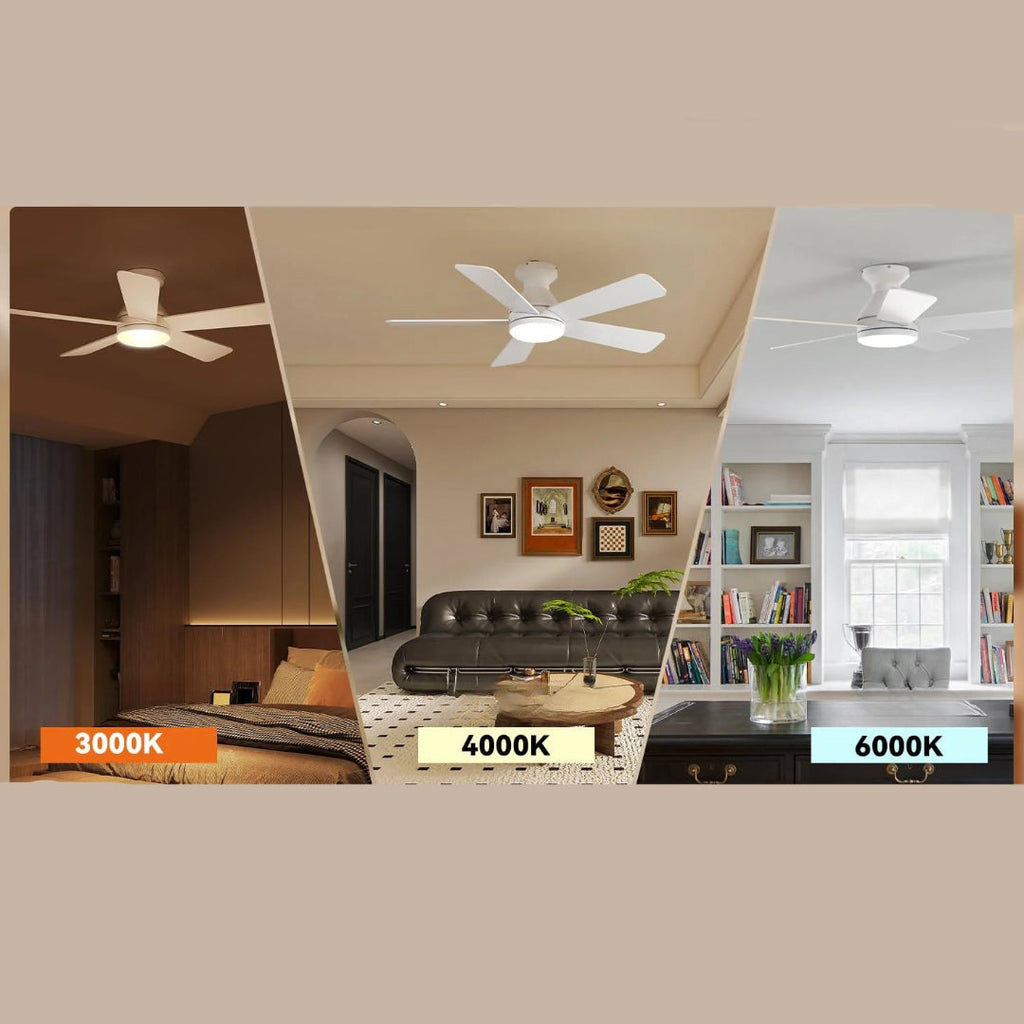 Ventilateur de plafond avec lumière