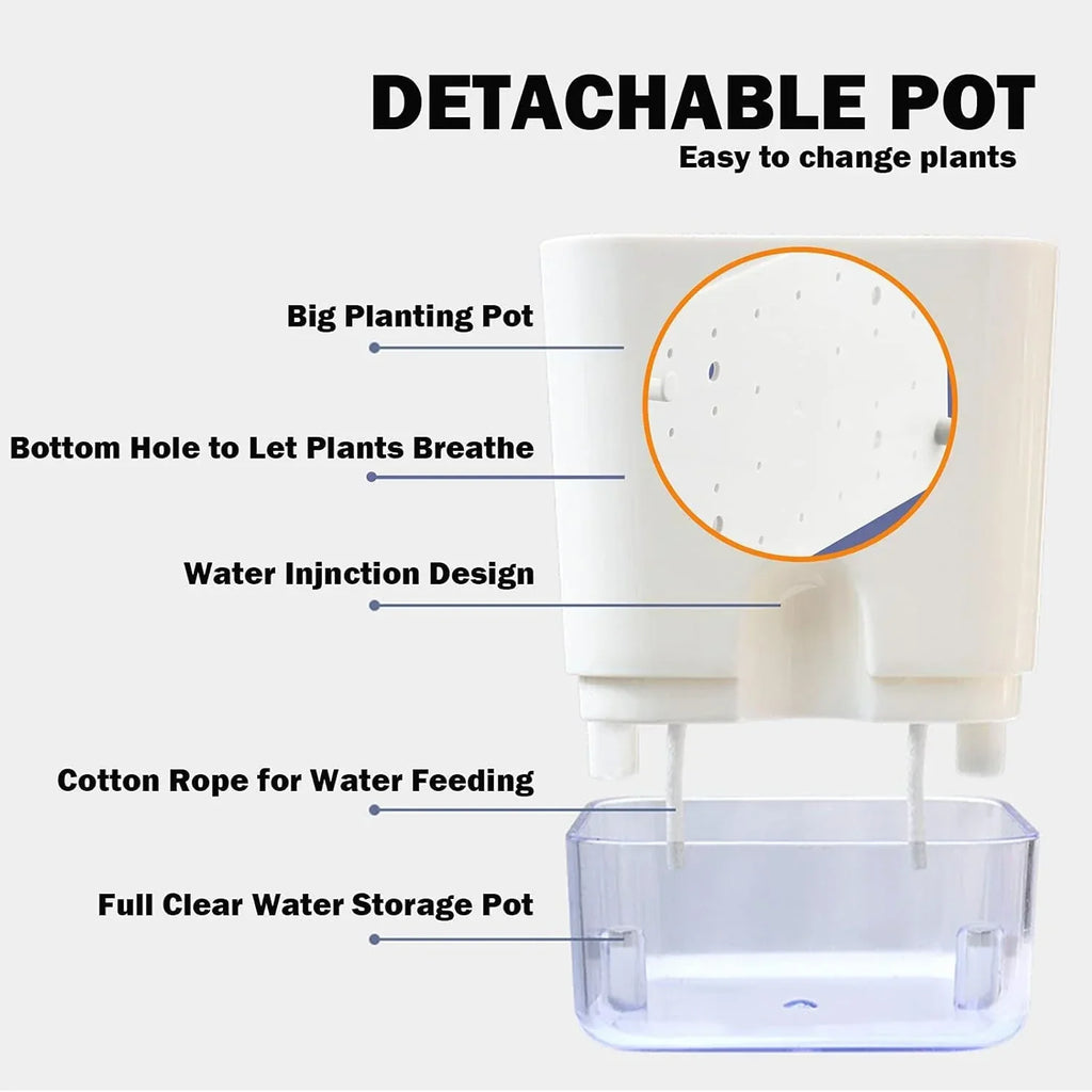 Pot Autonome Avec Niveau d'Eau Visible Blanc