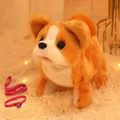 Chien Robot Interactif pour Enfants - BuddyChien