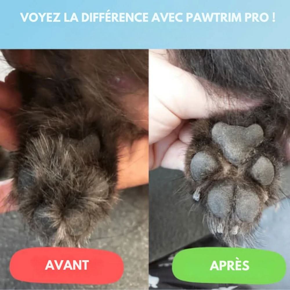 Skanto | SilentPet Trimmer – Tondeuse silencieuse pour zones sensibles chez le chien et le chat