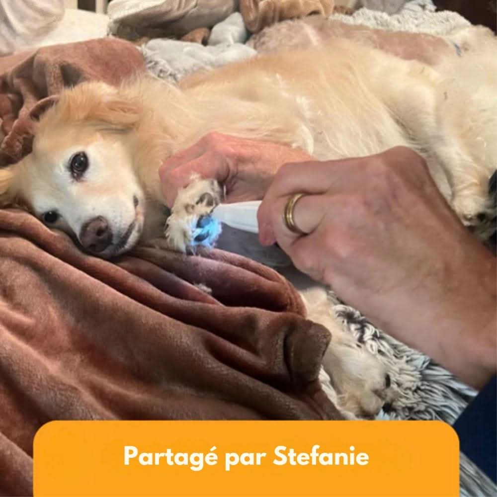 Skanto | SilentPet Trimmer – Tondeuse silencieuse pour zones sensibles chez le chien et le chat