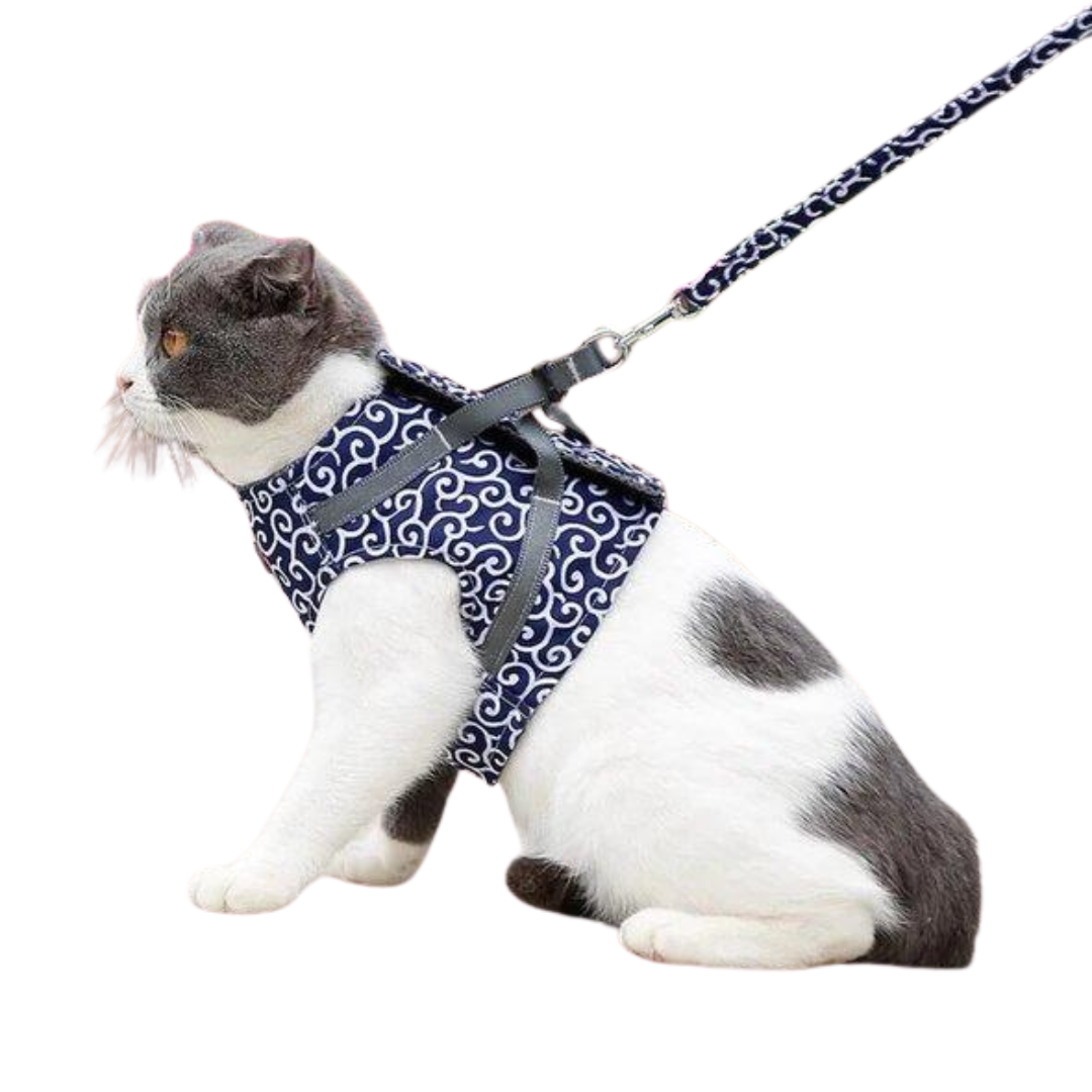 Best-seller : Harnais anti-acné pour chats