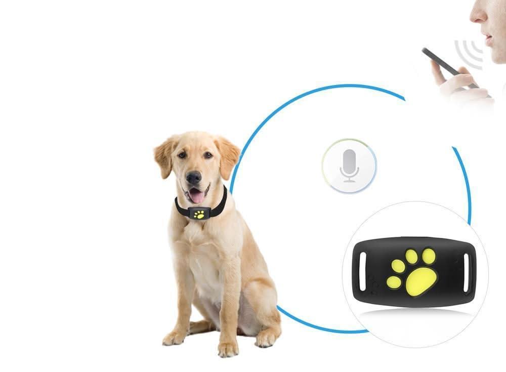MEOWLOC - Collier de suivi GPS pour chats conçu pour le suivi de localisation en temps réel et la sécurité des animaux de compagnie