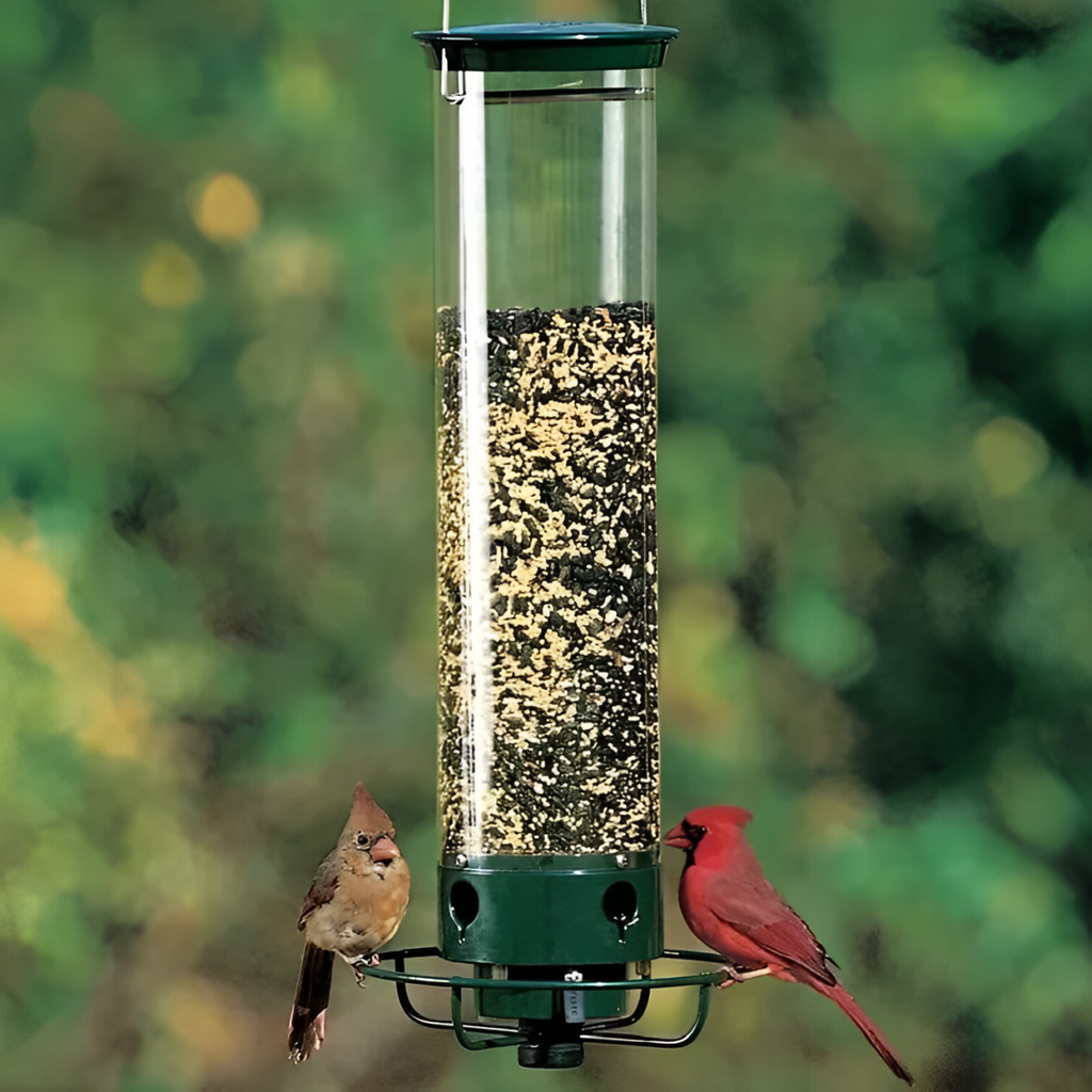 FEEDSAFE – Nourrisseur à Oiseaux Résistant aux Écureuils pour une Observation des Oiseaux Sans Tracas dans le Jardin