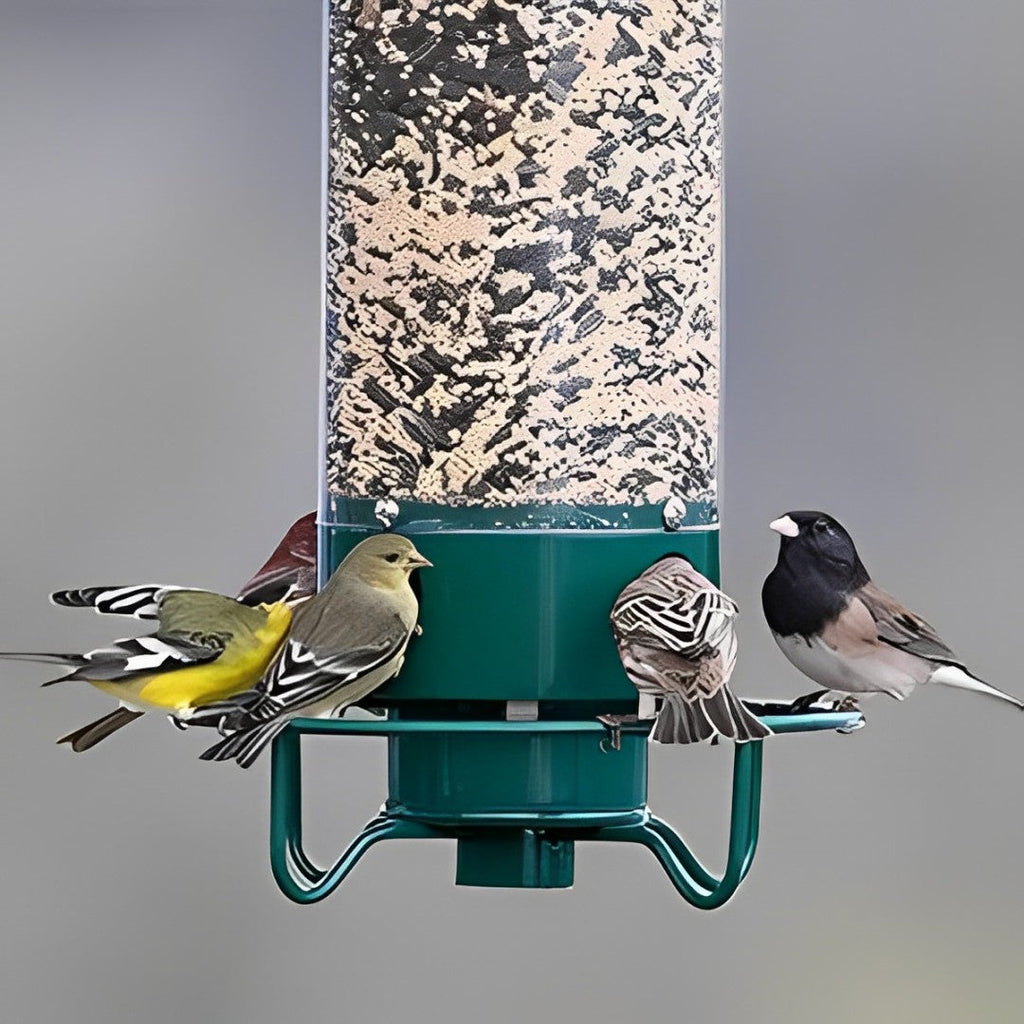 FEEDSAFE – Mangeoire à Oiseaux Résistante aux Écureuils pour Observer les Oiseaux dans Votre Jardin