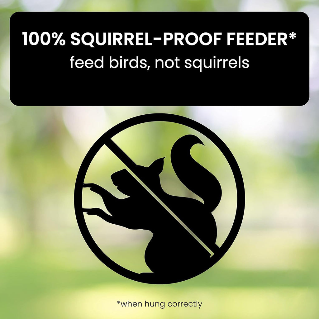 FEEDSAFE – Nourrisseur à Oiseaux Résistant aux Écureuils pour une Observation des Oiseaux Sans Tracas dans le Jardin