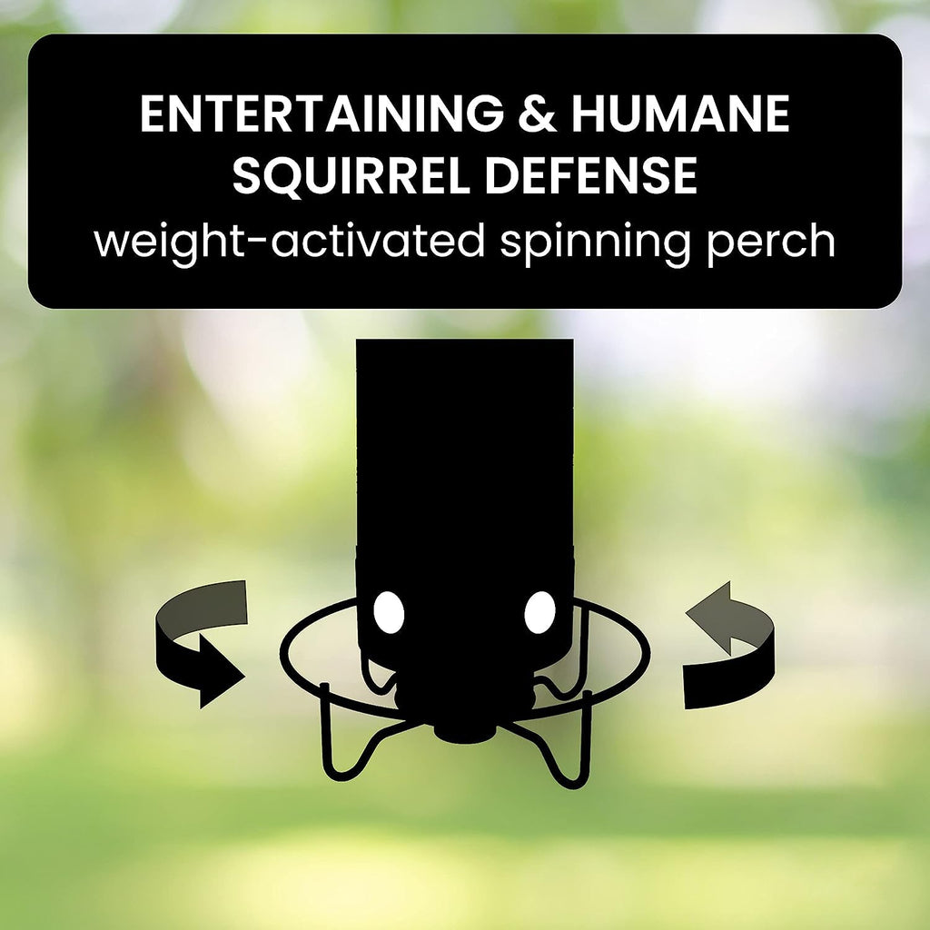 FEEDSAFE – Nourrisseur à Oiseaux Résistant aux Écureuils pour une Observation des Oiseaux Sans Tracas dans le Jardin