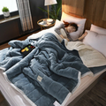 Couverture d'hiver | Douillette & Chaude | Douce microfibre