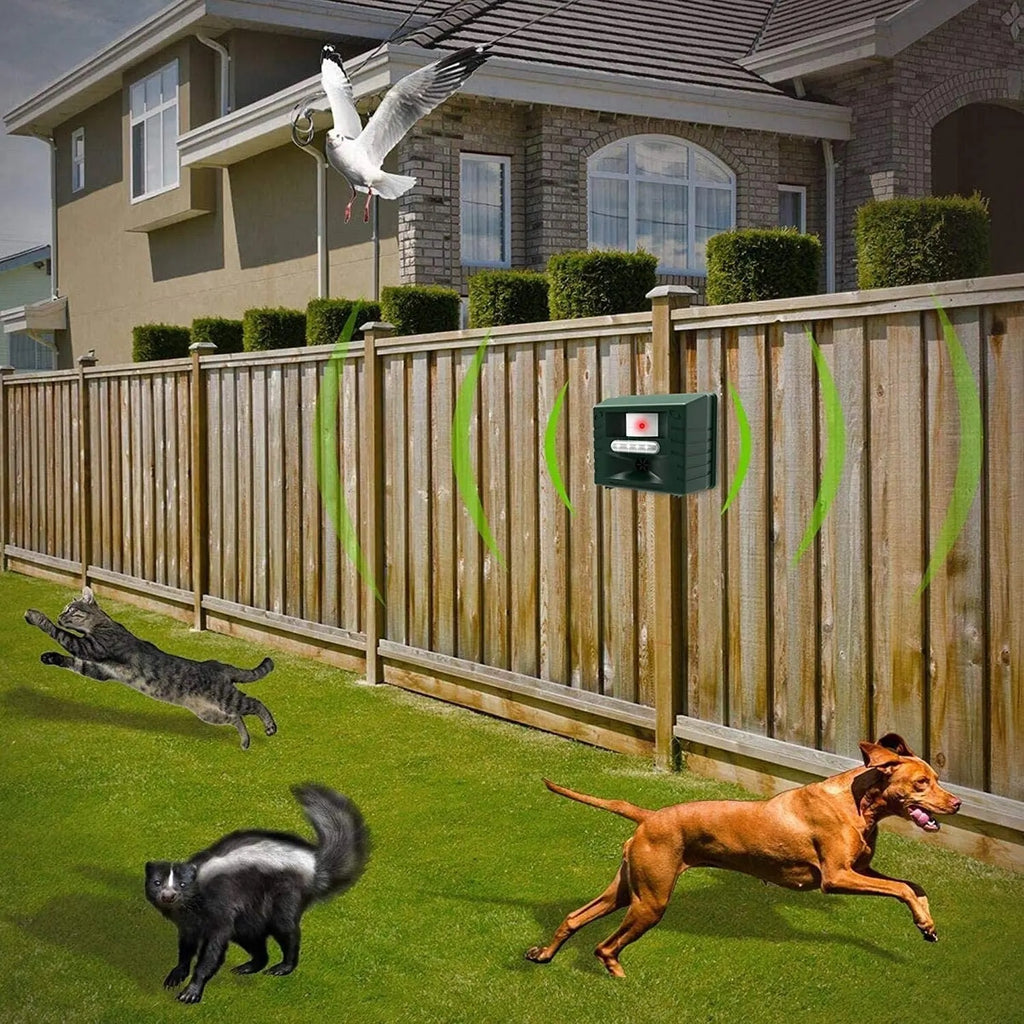 SAFEHAVEN - Dispositif répulsif à ultrasons pour oiseaux pour jardin et cour