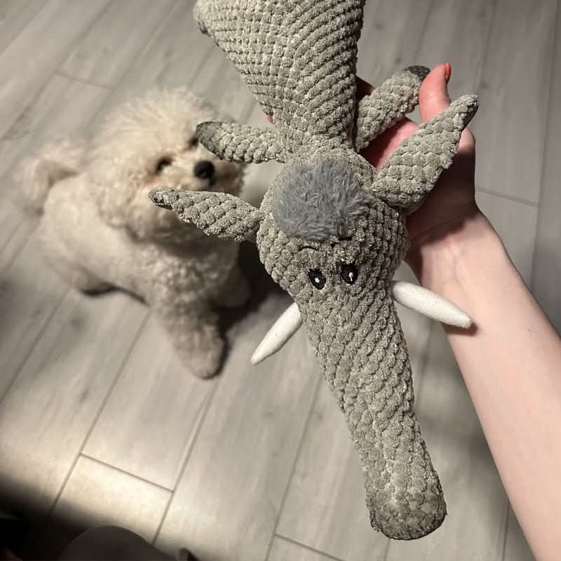 JOUET HARDPAW – Jouet à mâcher résistant pour petits et grands chiens