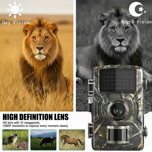 WILDWATCH – Caméra de chasse nocturne 12 MP avec vidéo HD 1080P