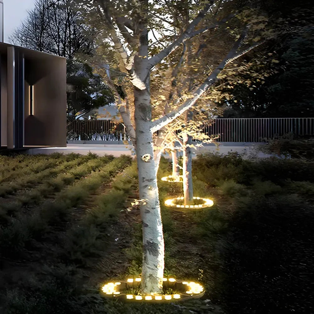 Projecteur extérieur pour l'éclairage des arbres