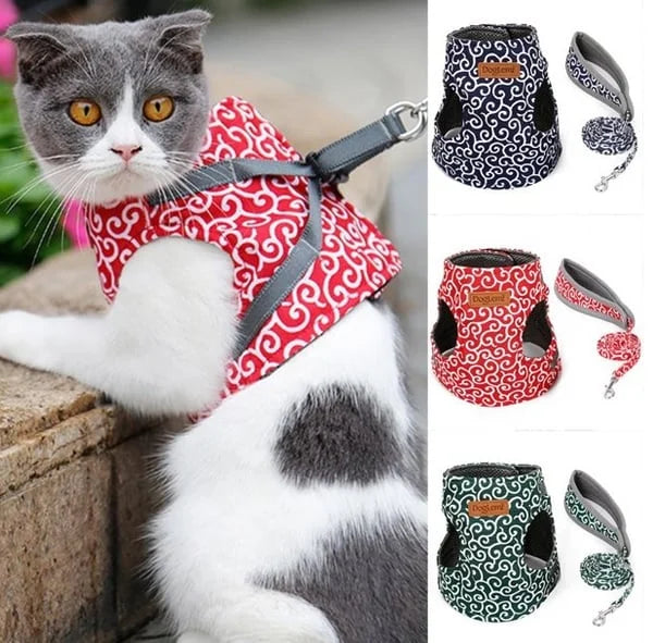 Best-seller : Harnais anti-acné pour chats