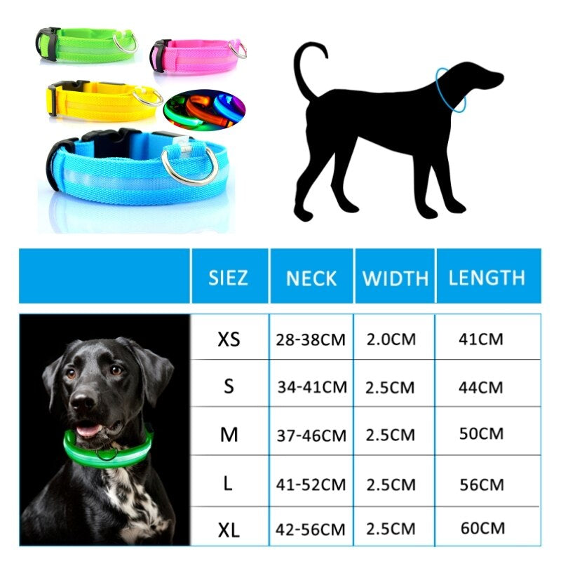 🐾 GlowPaw™ – Le collier LED pour chien pour des promenades sécurisées le soir
