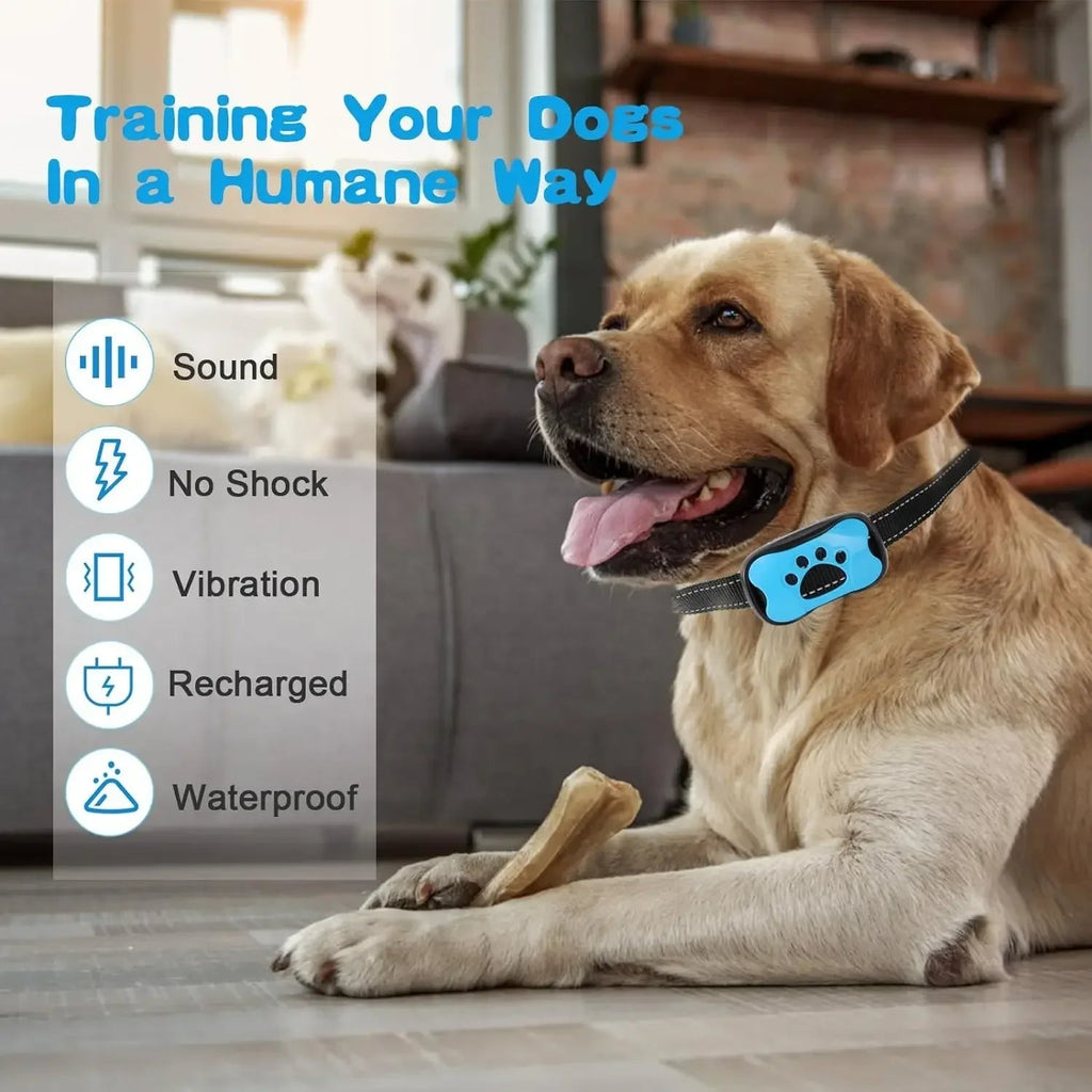 Collier Anti-Aboiement pour Chien avec Entraînement par Vibration Sûre